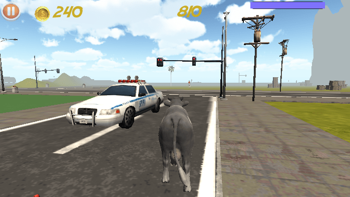 Crazy Bull City