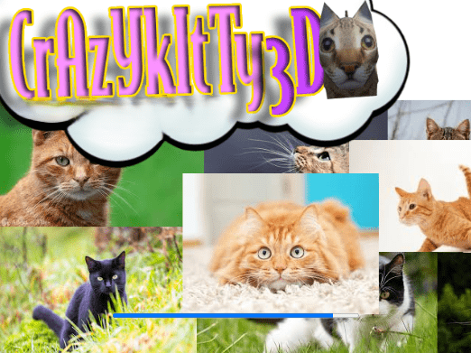 Crazy Kitty 3D 