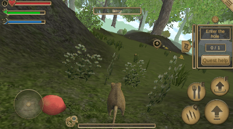 Forest Mouse